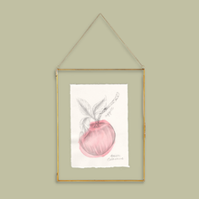 Load image into Gallery viewer, A framed botanical artwork of an apple hanging on a light olive green wall. The print features a pink watercolor apple with a pencil sketch of leaves and a stem, set in a thin gold frame with a hanging chain.