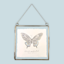 Load image into Gallery viewer, Black Swallowtail Original Artwork