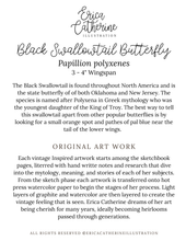 Load image into Gallery viewer, Black Swallowtail Original Artwork