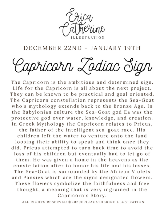 Capricorn Zodiac Sign - Seconds Sale