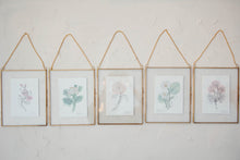 Load image into Gallery viewer, April Birth Flower - Sweet Pea Mini Original Drawing