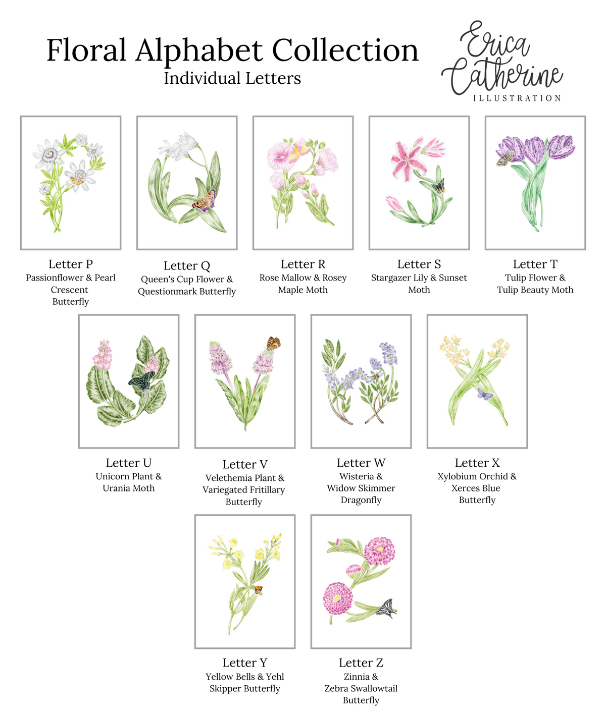 A product listing graphic for a floral alphabet collection by Erica Catherine Illustration, showing individual watercolor illustrations for each letter from A to Z, with names of the depicted flowers and butterflies below each drawing on a white background.