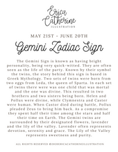 Load image into Gallery viewer, Gemini Zodiac Sign Art Print - Seconds Sale