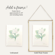 Load image into Gallery viewer, May Birth Flower - Hawthorn Mini Original Drawing