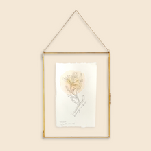 Load image into Gallery viewer, June Birth Flower - Honeysuckle Mini Original Drawing