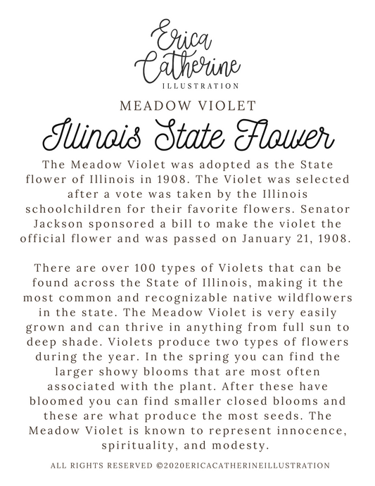 Illinois State Flower Map Prints - Seconds Sale