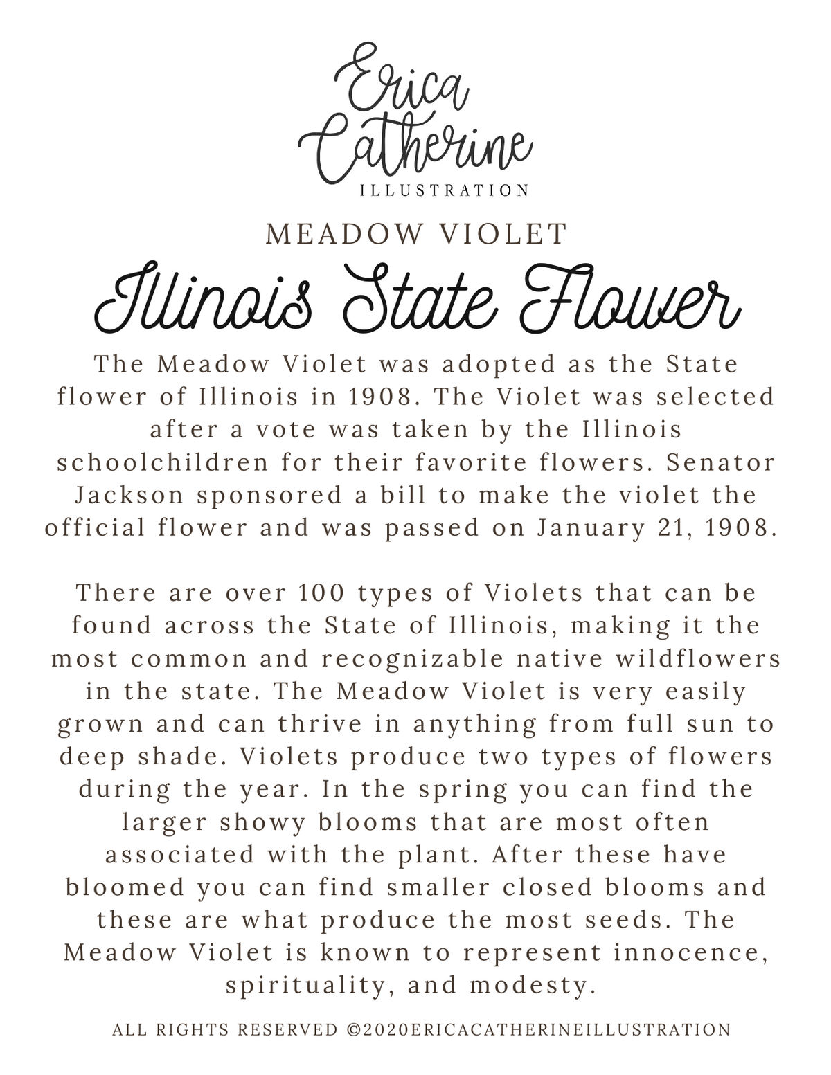 Illinois State Flower Map Prints - Seconds Sale