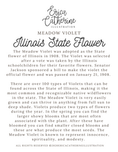 Load image into Gallery viewer, Illinois State Flower Map Prints - Seconds Sale