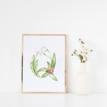 Load image into Gallery viewer, Letter Q Initial Print