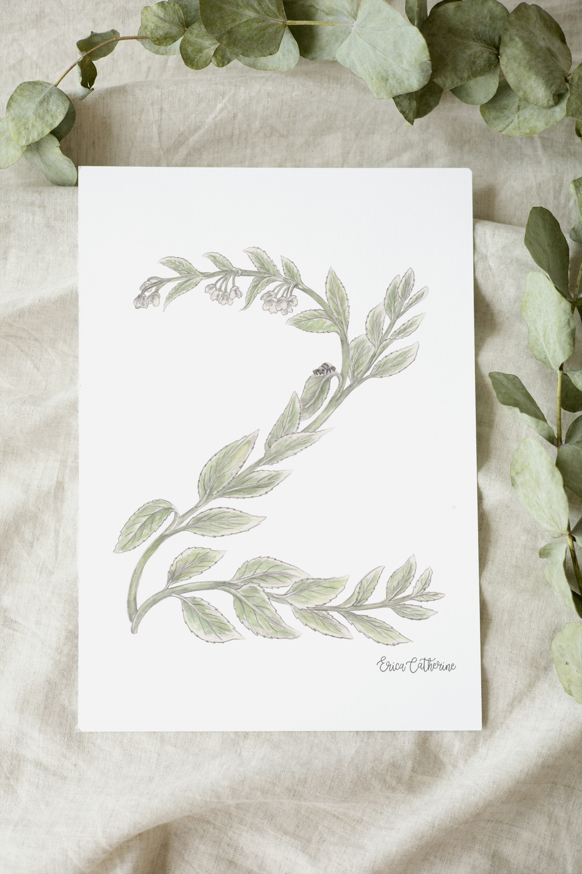 Letter Z Woodland Alphabet Fine Art Print