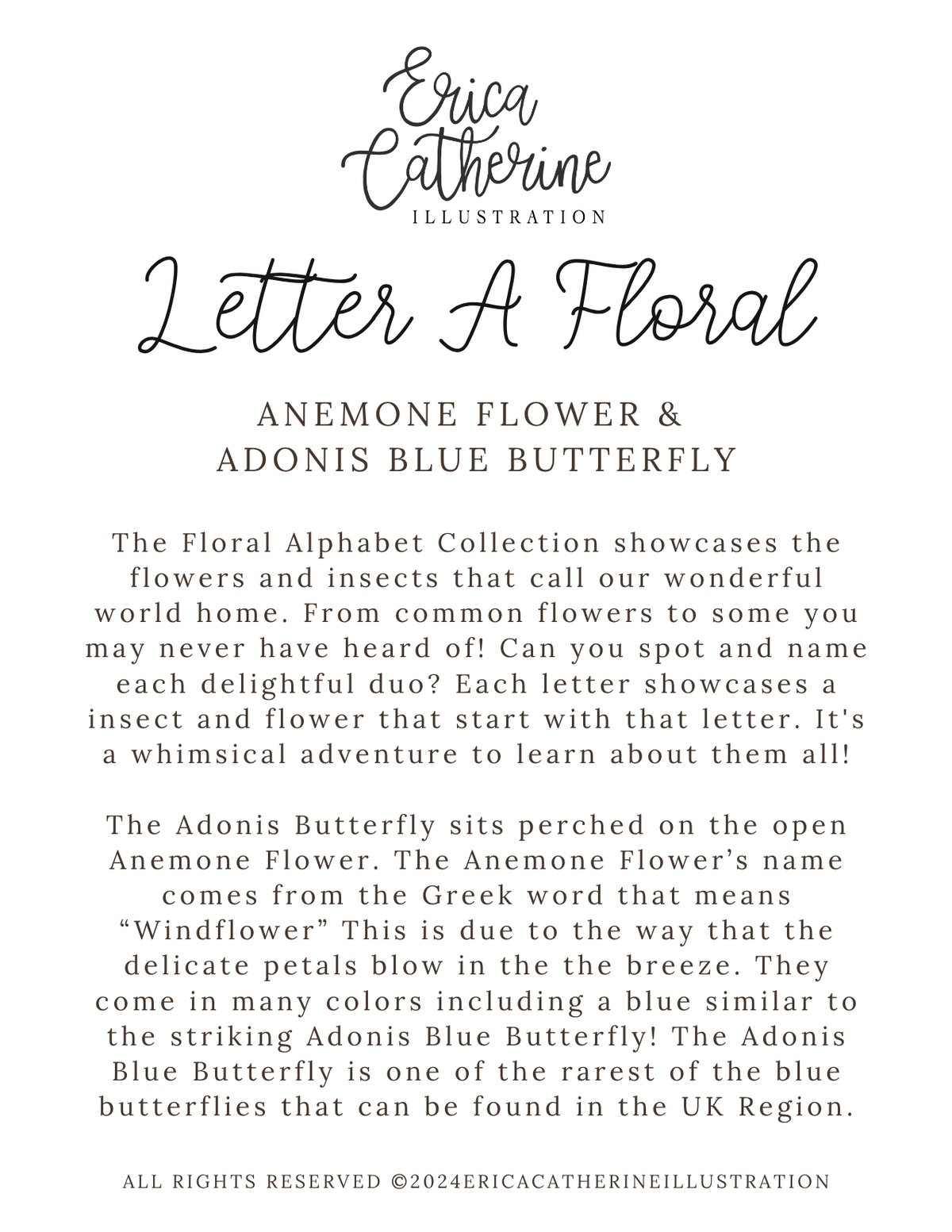 A text-based product page or book/album cover titled 'Letter A Floral' by Erica Catherine, featuring a floral alphabet collection description with paragraphs of black serif and script text on a white background.