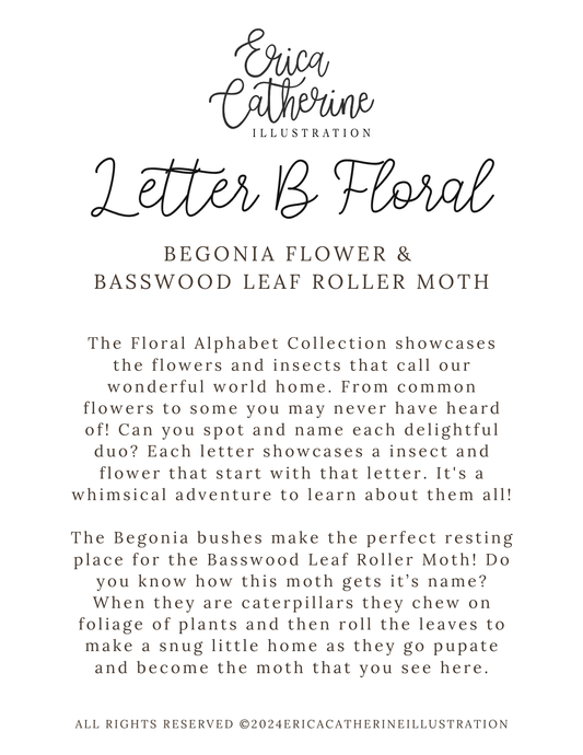 A text-based educational card titled 'Letter B Floral' by Erica Catherine Illustration, featuring black script and serif text on a white background about begonia flowers and the basswood leafroller moth.