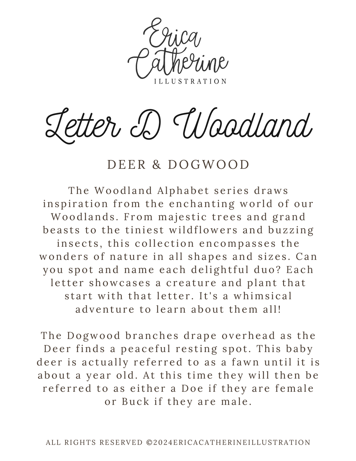 Letter D Woodland Alphabet Collection Fine Art Print