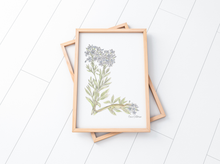 Load image into Gallery viewer, Letter L Woodland Alphabet Fine Art Print