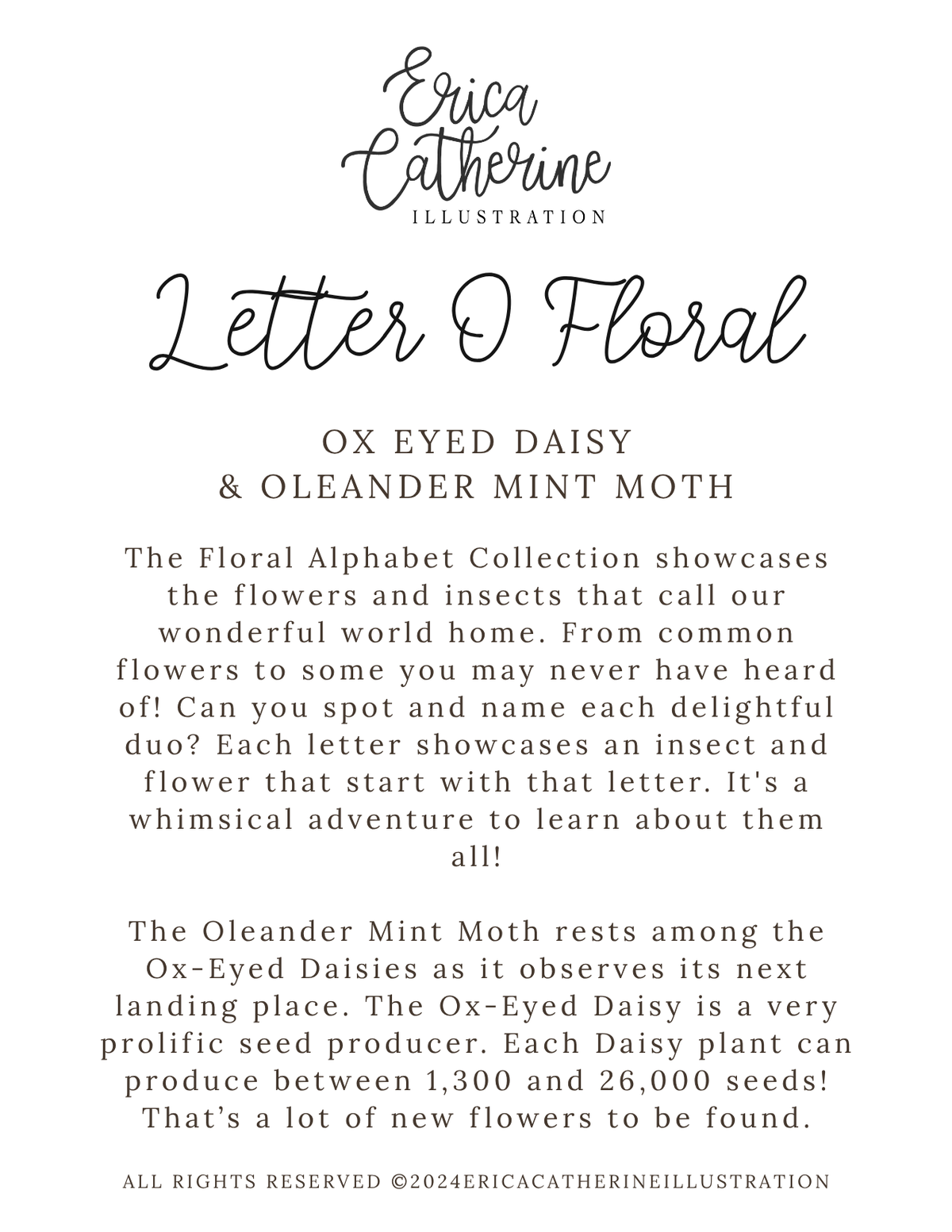 A text-based product card titled 'Letter O Floral' by Erica Catherine Illustration, featuring the scent name 'Ox Eyed Daisy & Oleander Mint Moth' and descriptive product copy on a white background.