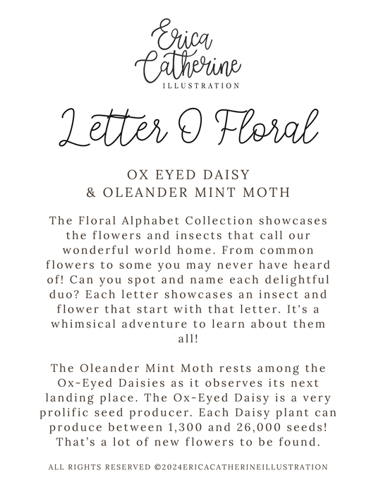 A text-based product card titled 'Letter O Floral' by Erica Catherine Illustration, featuring the scent name 'Ox Eyed Daisy & Oleander Mint Moth' and descriptive product copy on a white background.
