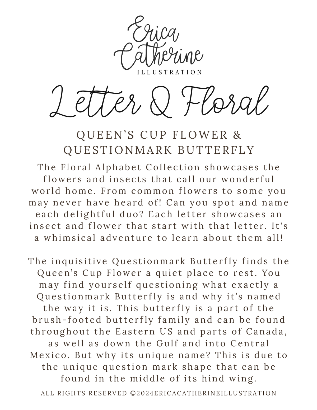 An Info Card titled 'Letter Q Floral' by Erica Catherine, featuring a white background with black text and decorative script typography.
