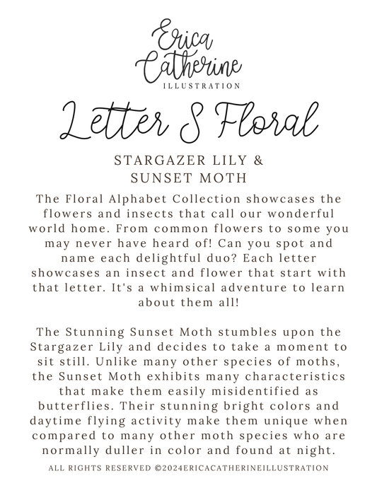 A text-based info card titled 'Erica Catherine Illustration Letter S Floral' with the subtitle 'Stargazer Lily & Sunset Moth.' The page contains descriptive paragraphs about a floral alphabet collection, featuring insects and flowers.