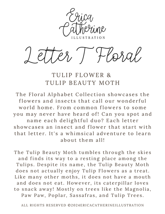 A text-based info card titled 'Letter T Floral' by Erica Catherine Illustration, featuring a information about the Tulip Flower and Tulip Beauty Moth on a white background with black text.