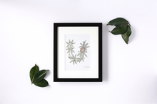 Load image into Gallery viewer, Letter U Woodland Alphabet Fine Art Print