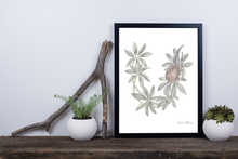 Load image into Gallery viewer, Letter U Woodland Alphabet Fine Art Print