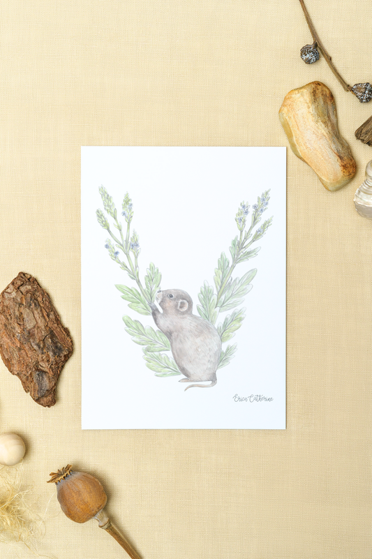 Letter V Woodland Alphabet Fine Art Print