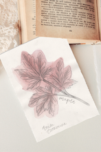 Load image into Gallery viewer, A square white paper card featuring a watercolor illustration of a maple leaf in dusty pink and gray, with the word 'maple' and Erica Catherine's Signature below, styled on top of an open vintage book.