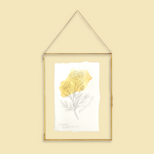 Load image into Gallery viewer, October Birth Flower - Marigold Mini Original Drawing
