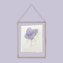 Load image into Gallery viewer, September Birth Flower - Morning Glory Mini Original Drawing