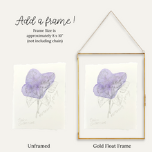 Load image into Gallery viewer, September Birth Flower - Morning Glory Mini Original Drawing
