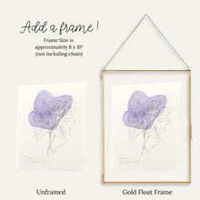 Load image into Gallery viewer, September Birth Flower - Morning Glory Mini Original Drawing
