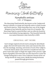 Load image into Gallery viewer, Mourning Cloak Butterfly Original Artwork