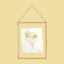 Load image into Gallery viewer, December Birth Flower - Narcissus Mini Original Drawing