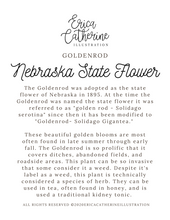 Load image into Gallery viewer, Nebraska State Map Art Print
