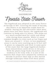 Load image into Gallery viewer, Nevada State Map Art Print