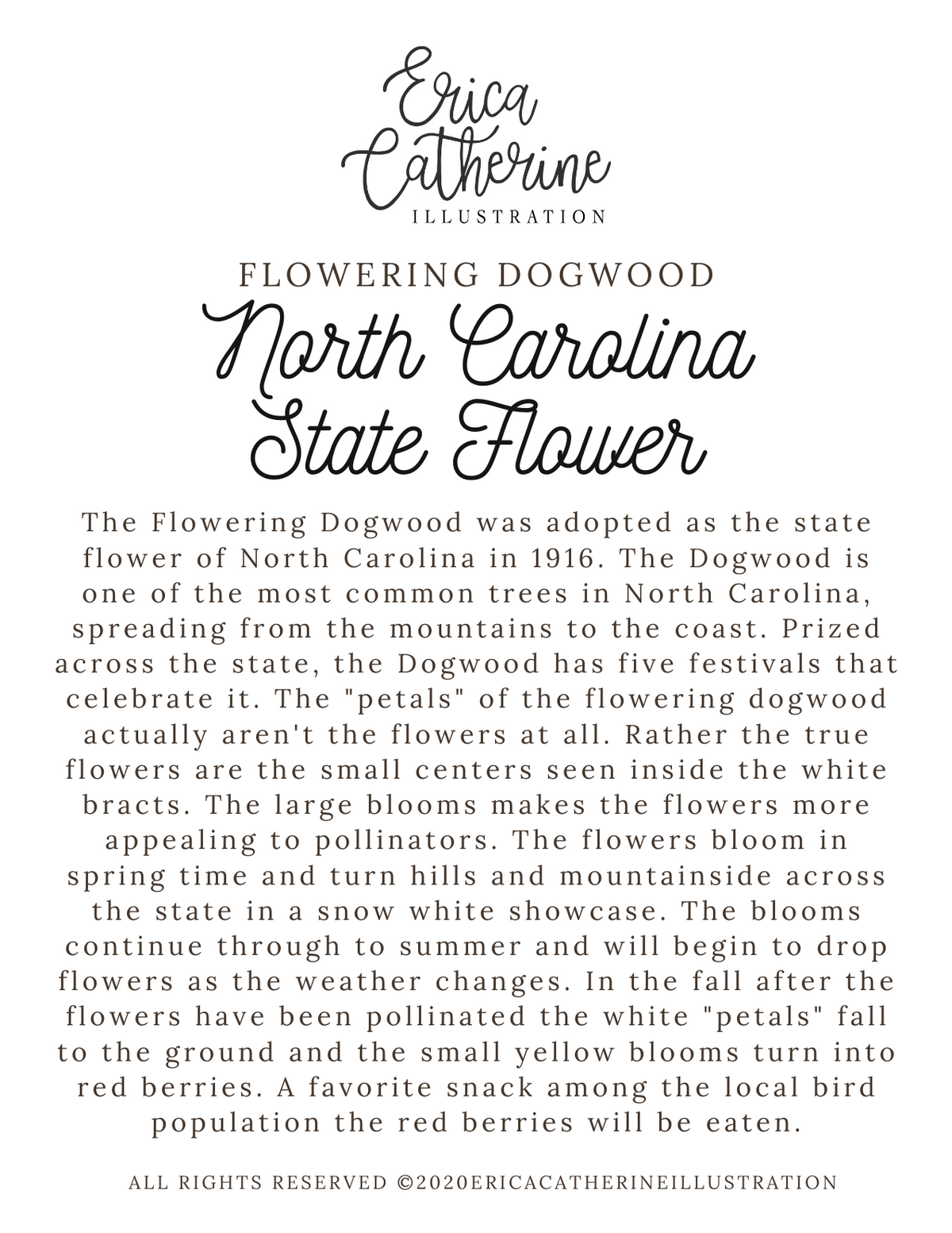 North Carolina State Map Print - Seconds Sale