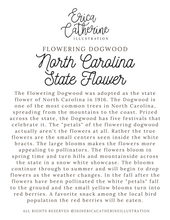 Load image into Gallery viewer, North Carolina State Map Art Print