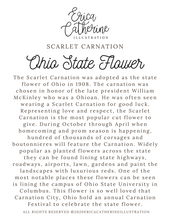 Load image into Gallery viewer, Ohio State Map Art Print