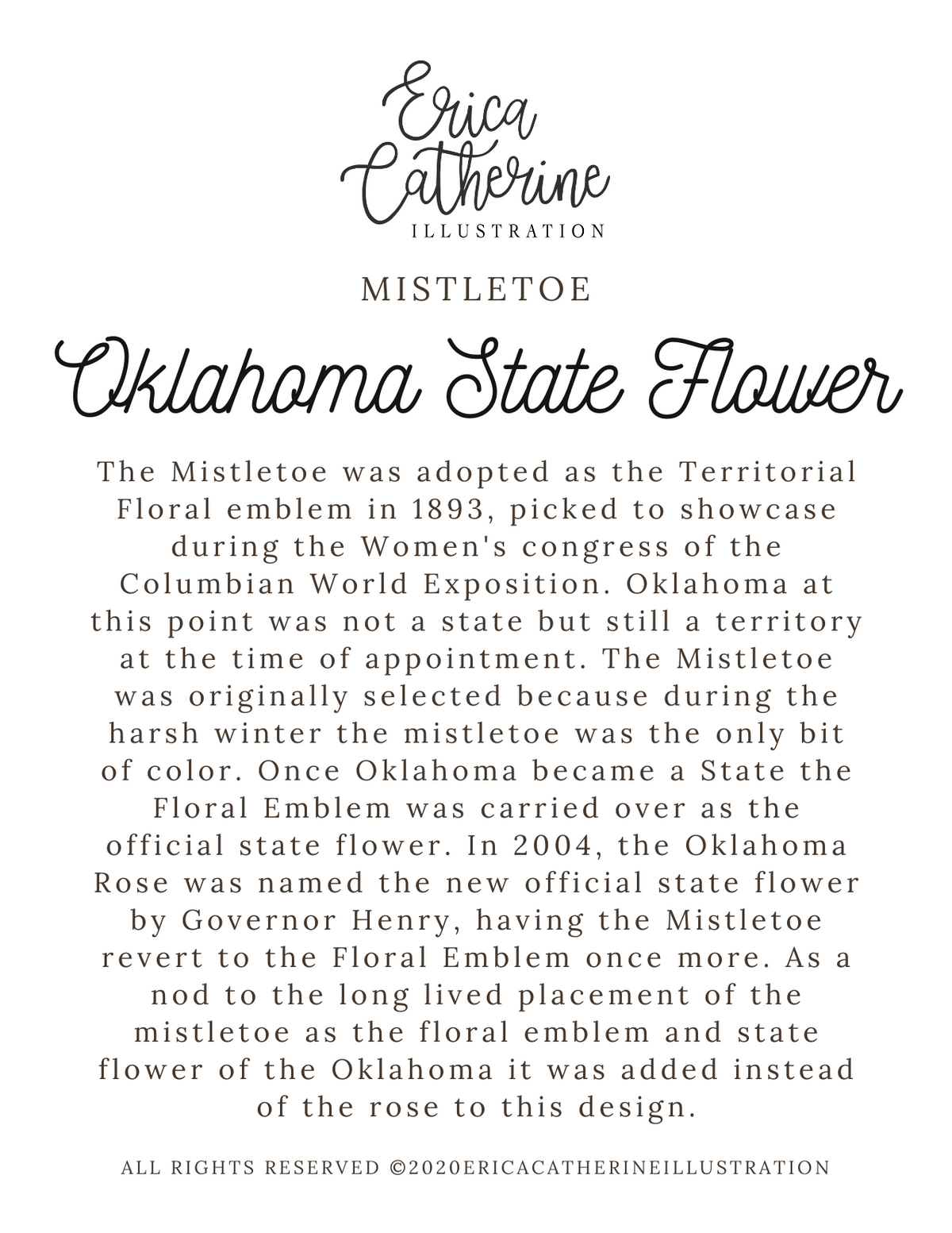 Oklahoma State Map Art Print
