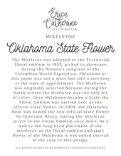Load image into Gallery viewer, Oklahoma State Map Art Print