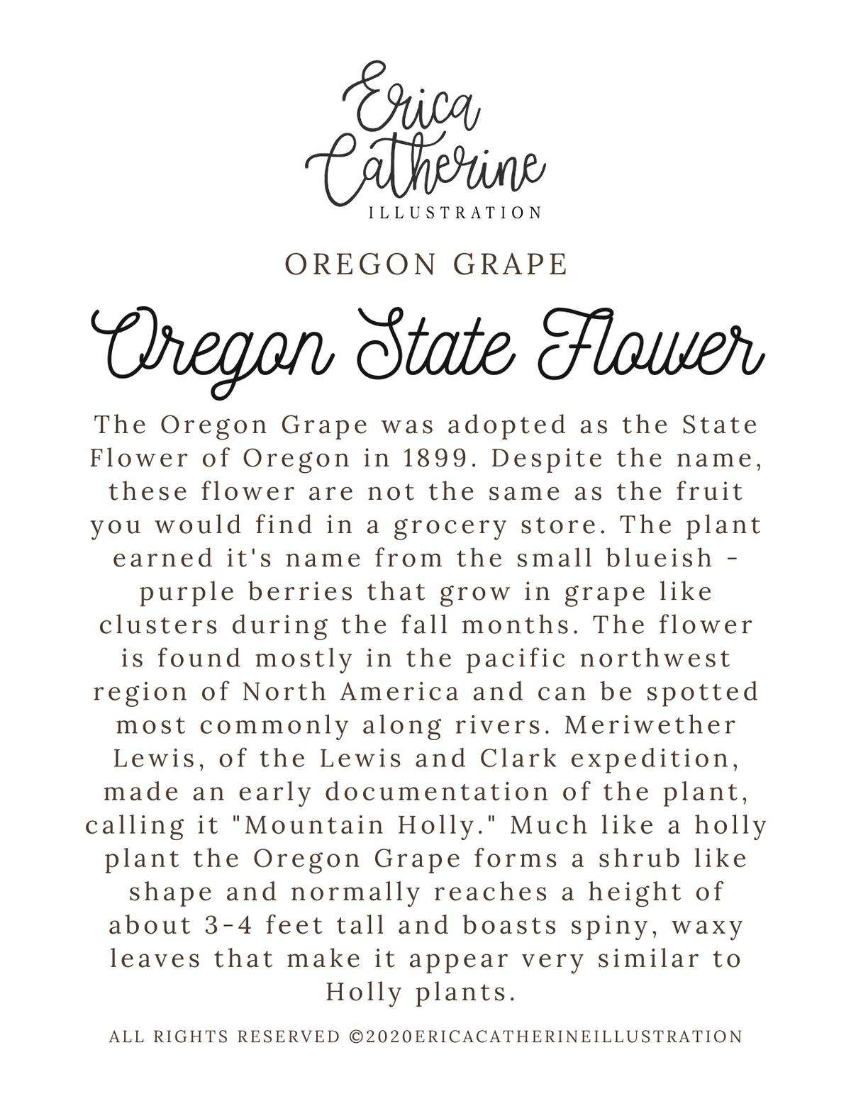 Oregon State Flower Map Print - Seconds Sale