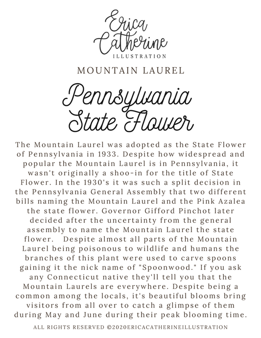 Pennsylvania State Flower Map - Seconds Sale