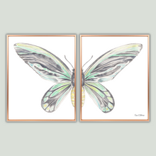 Load image into Gallery viewer, Queen Alexandra's Birdwing Large Diptych