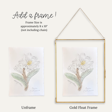 Load image into Gallery viewer, A product comparison graphic showing a botanical art print in an unframed state and in a gold float frame with hanging chain. Text at the top says 'Add a frame!' and notes the frame size is approximately 8 x 10 inches not including the chain.