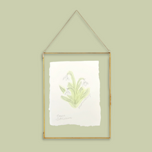 Load image into Gallery viewer, January Birth Flower - Snowdrop Mini Original Drawing