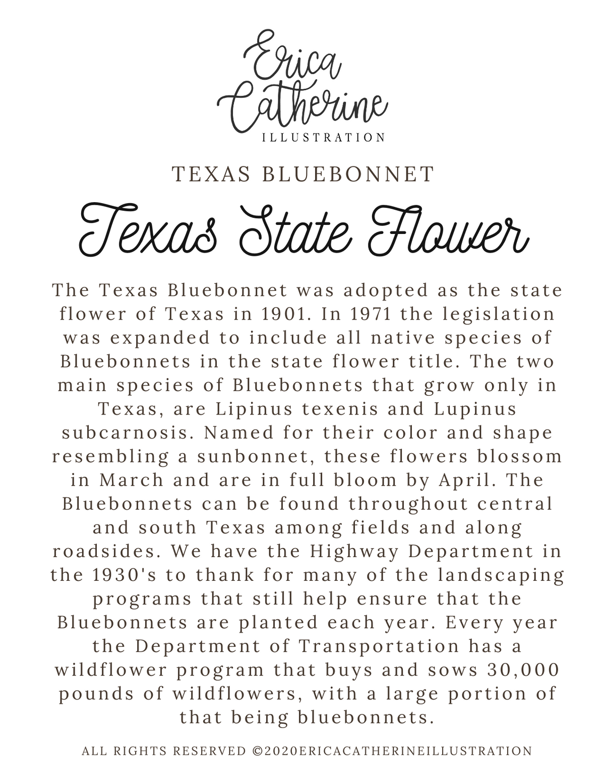 Texas State Map Art Print