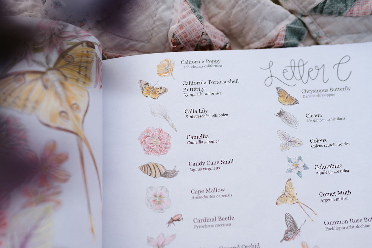 Open book with illustrations of butterflies and flowers on a floral fabric background