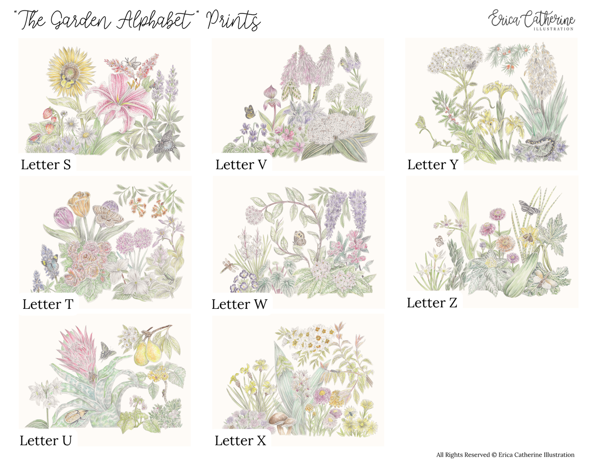 "The Garden Alphabet" Prints
