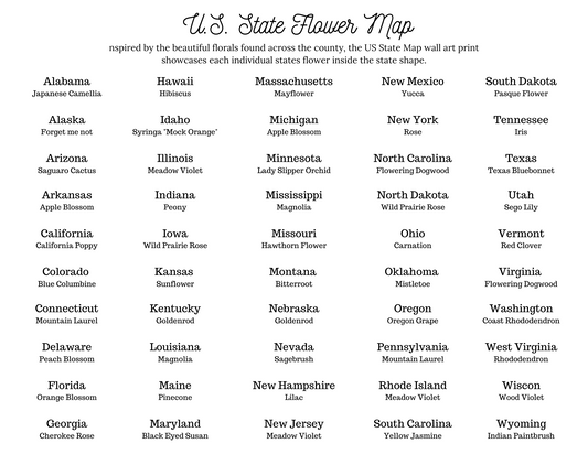 US State Flower Map Print - Seconds Sale
