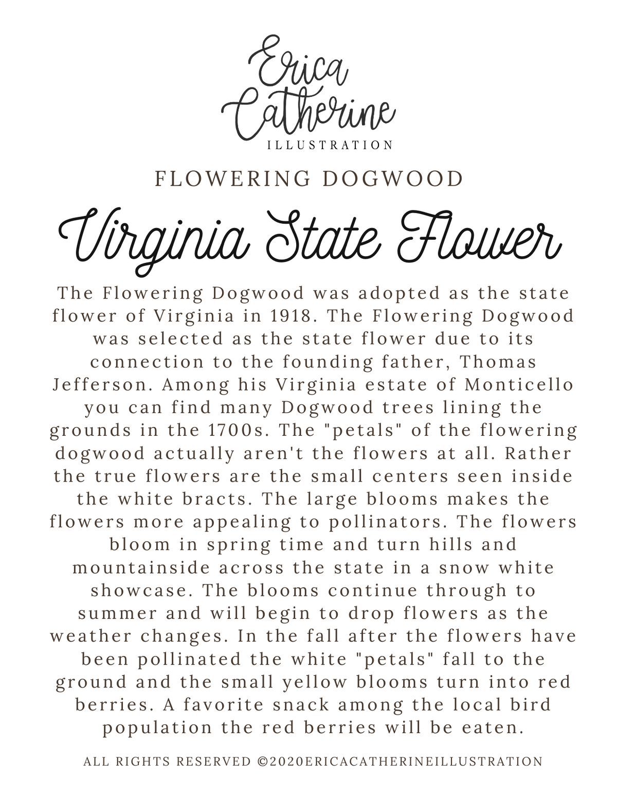 Virginia State Map Art Print